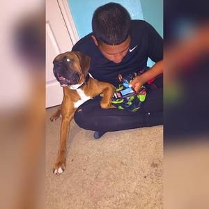 Meet your Posher, Berto